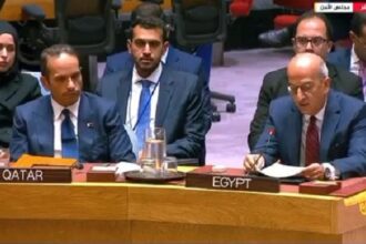 Egyptian Ambassador at UN