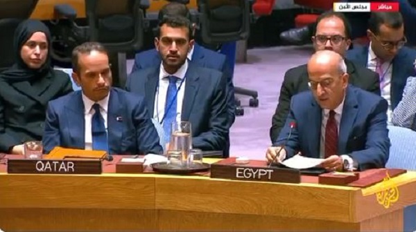 Egyptian Ambassador at UN