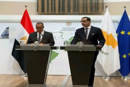 Egypt and Cyprus FMs
