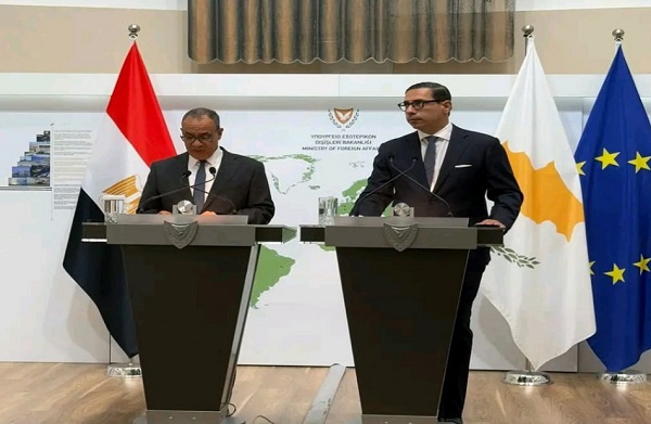 Egypt and Cyprus FMs