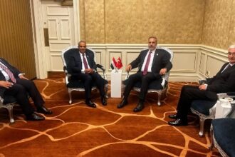 Egypt and Turkey FMs