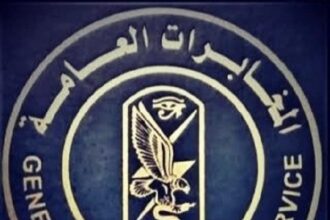 Egyptian Intelligence Services