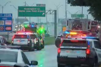 Ice shooting Dallas