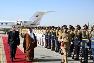 Madbouly and Bahraini Crown Prince