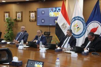 Sinai Petroleum and Gas