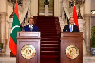 Egypt and Maldives FMs