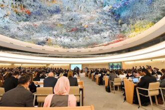 Human rights UN