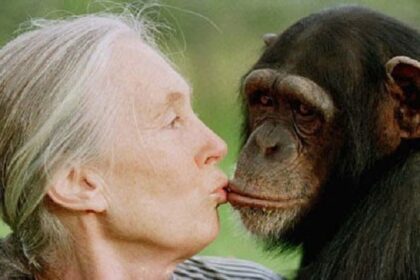 Jane Goodall dies