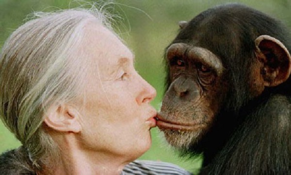 Jane Goodall dies