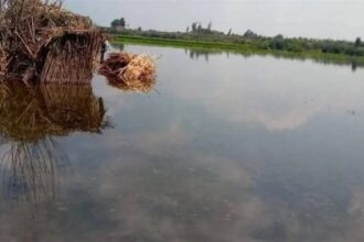 Menoufia floods