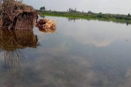 Menoufia floods