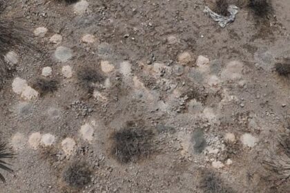 Piles of human remains