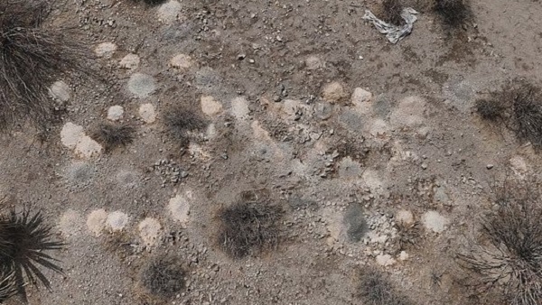 Piles of human remains
