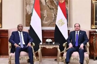 President Sisi and Borhan
