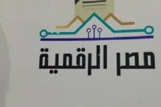 Egyptian Expats services