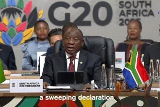 G20 declaration