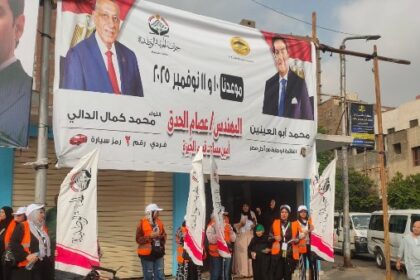 Parlimentary elections Egypt