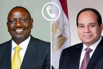 President Sisi and Kenyan President