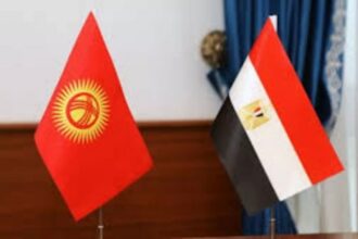 Egypt and Kyrgyz flags