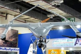 Egyptian Chinese drone