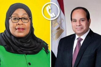 President Sisi and Tanzanian Pres.