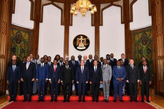 President Sisi with African representatives