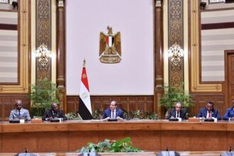 Sisi speech