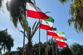 Somaliland Flags