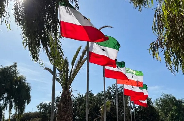 Somaliland Flags