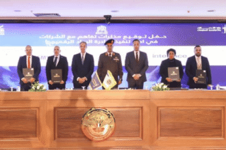 Egypt signs IT