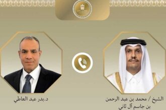 Egyptian and Qatari FMs