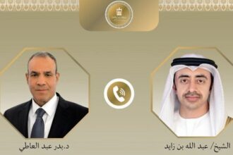 Egyptian and UAE Foreign Ministers