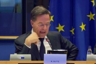 Rutte