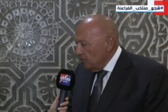 Sameh Shoukry