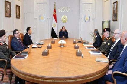 President Sisi on telecom
