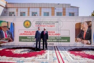 Somaliland offers Israel a base