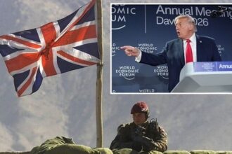 Trump NATO UK jibe