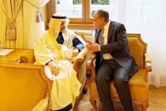 Egypt and Saudi FMs