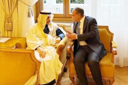 Egypt and Saudi FMs