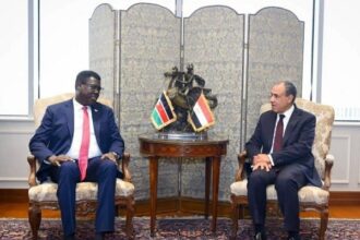 Egypt and South Sudan Foreign Ministers