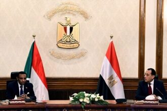 Egypt and Sudan PMs11