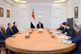 Sisi and Chinese GLC