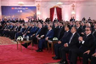 Sisi and Erdogan in session