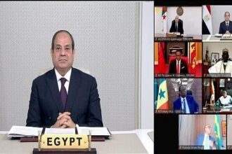Sisi video call
