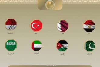 Egypt, Arab and Muslim States