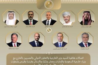 Egypt FM calls