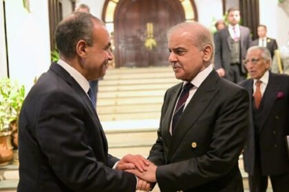Egypt FM meets Pakistani PM