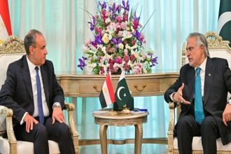 Egyptian and Pakistani FMs