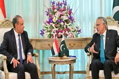 Egyptian and Pakistani FMs