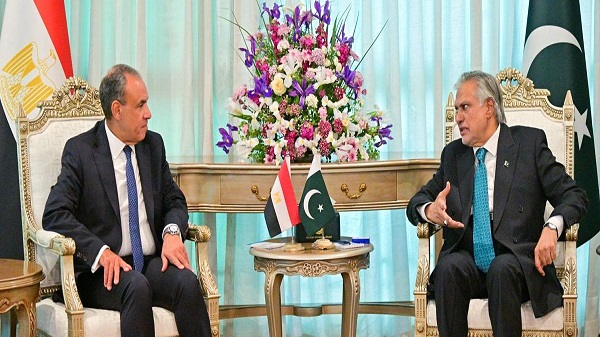 Egyptian and Pakistani FMs